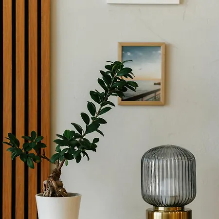 Black Sea Stay Apartment